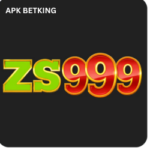 ZS999 Game